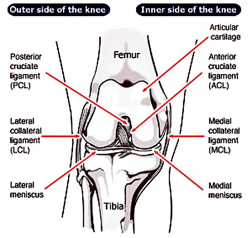 mcl knee injury, mcl injury, mcl injury symptoms, knee injuries, soccer mcl injury