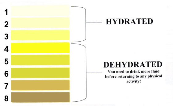 soccer hydration, hydration in soccer, tips, hydration soccer players, why is hydration important